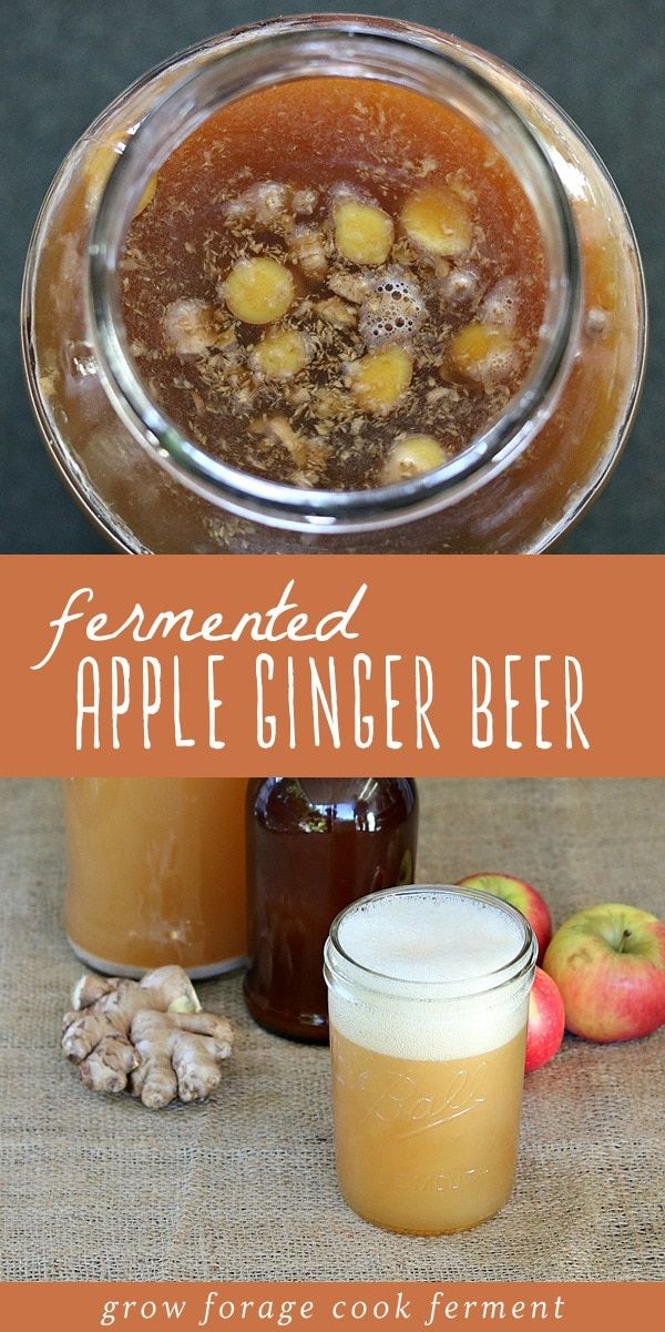 homemade canned apple ginger beer recipe in mason jars