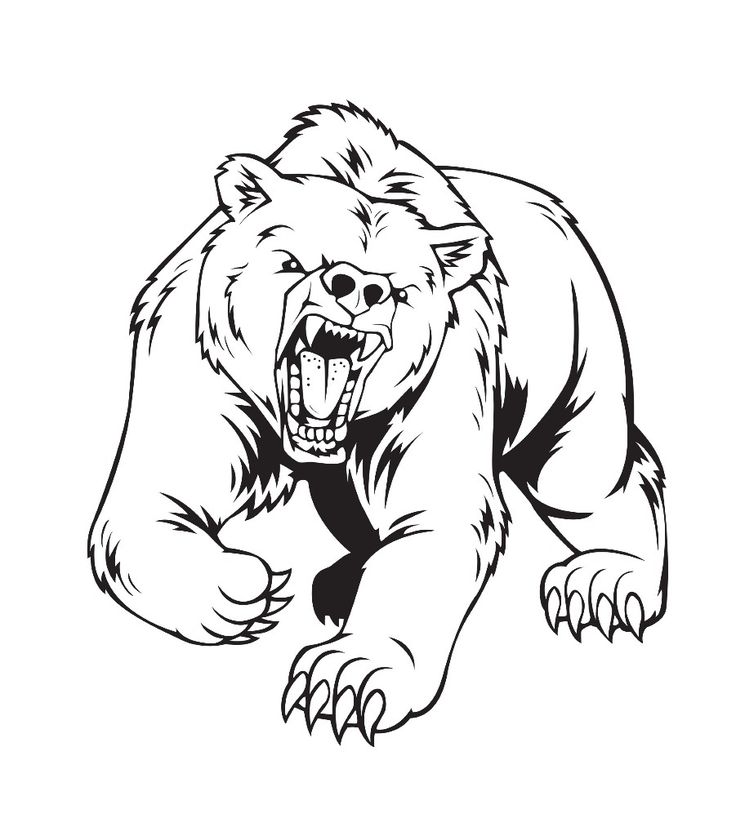 an angry bear running with its mouth open