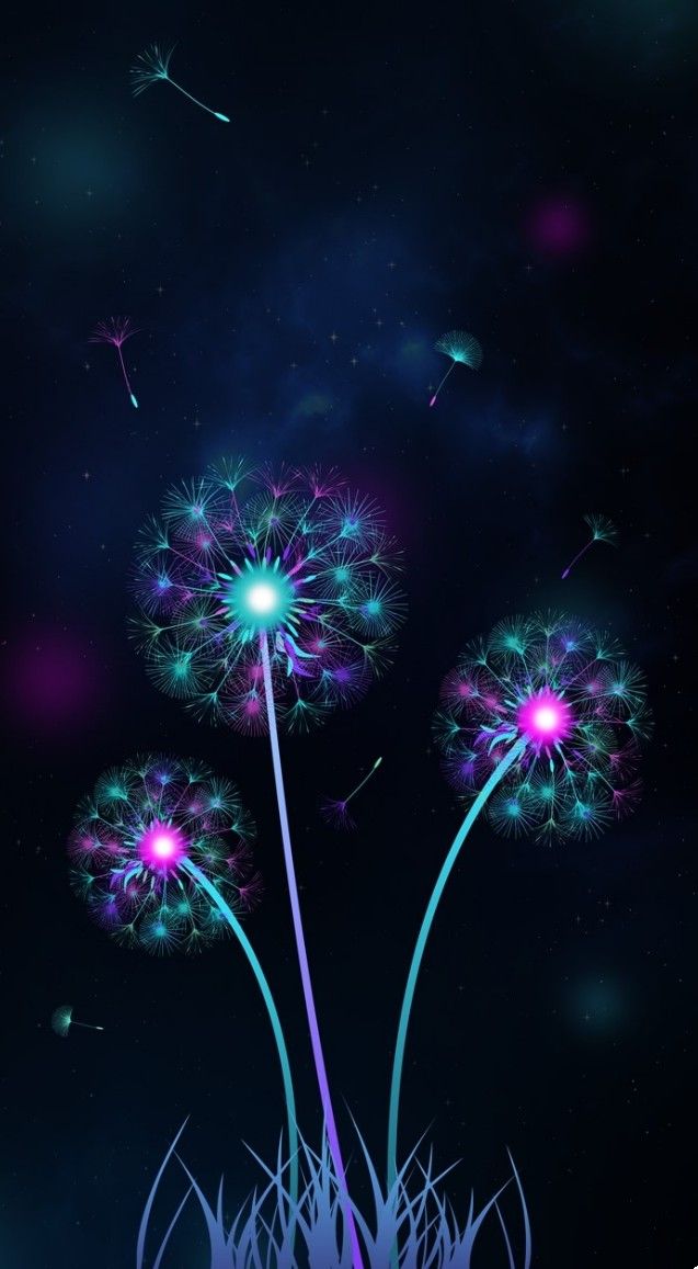 an abstract image of dandelions in the night sky with blue and pink lights