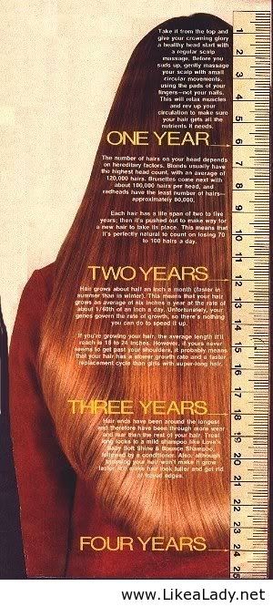 air growth timeline Hair Growth Charts, Prediabetic Diet, Hair Length Chart, 4c Natural, Hair Growth Tips, Hair Journey, Great Hair, Grow Hair, Hair Health