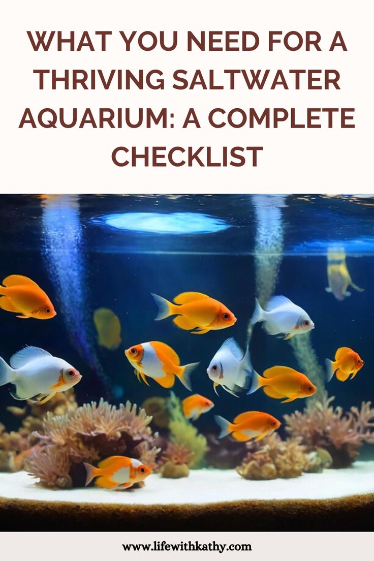 an aquarium filled with yellow and white fish next to the words, what you need for a thriving saltwater aquarium complete checklist