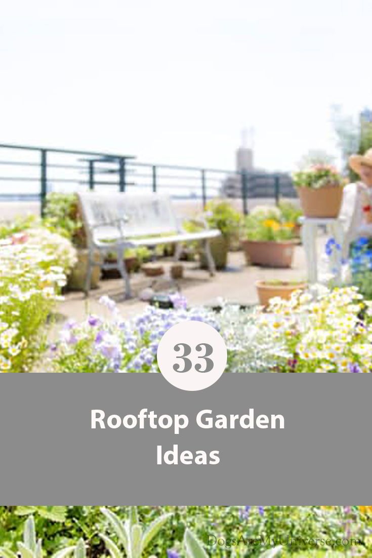 an outdoor garden area with lots of flowers and plants in the foreground text reads 33 rooftop garden ideas