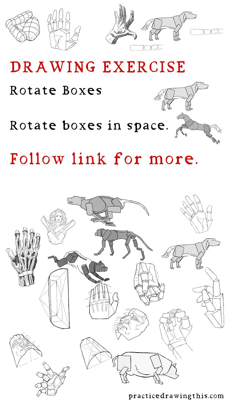 the instructions for how to make paper animals