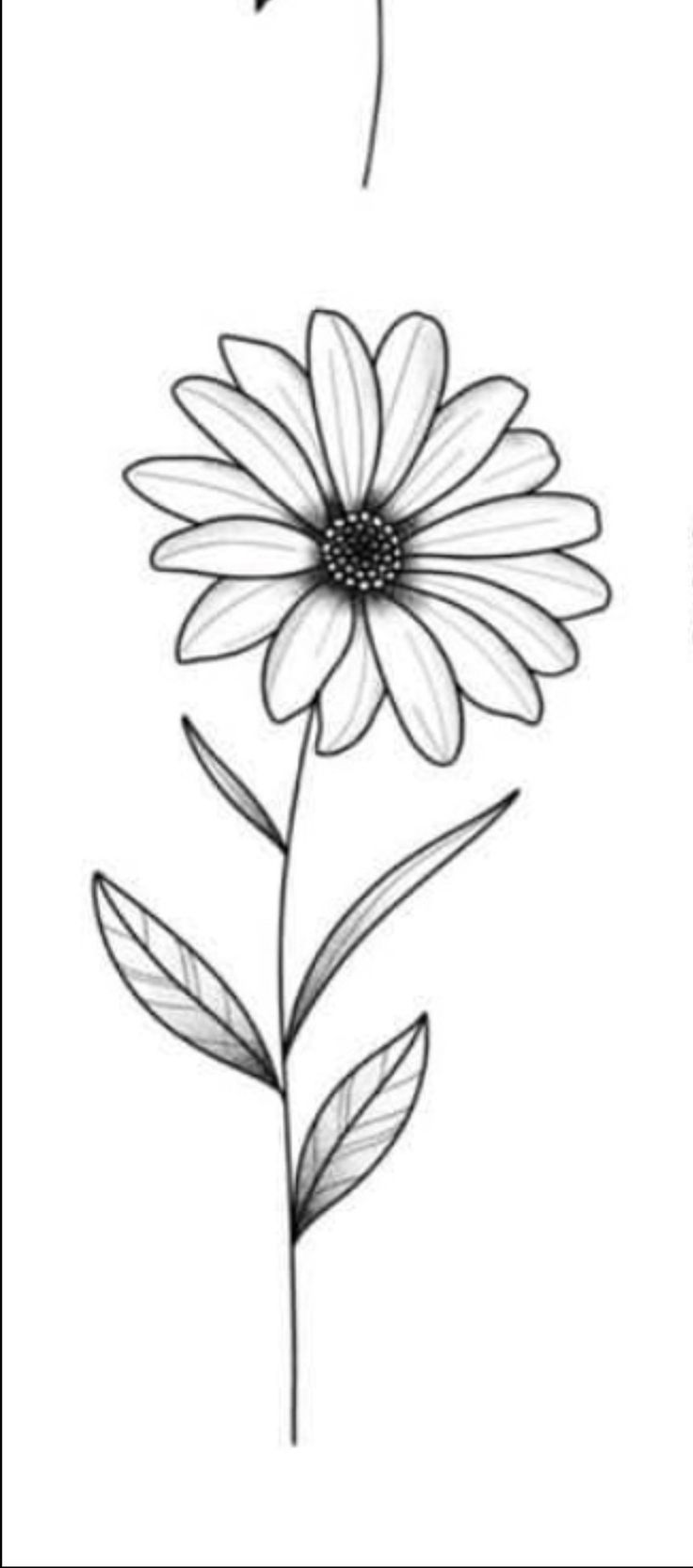 a drawing of two flowers with one flower in the middle and another on the other side