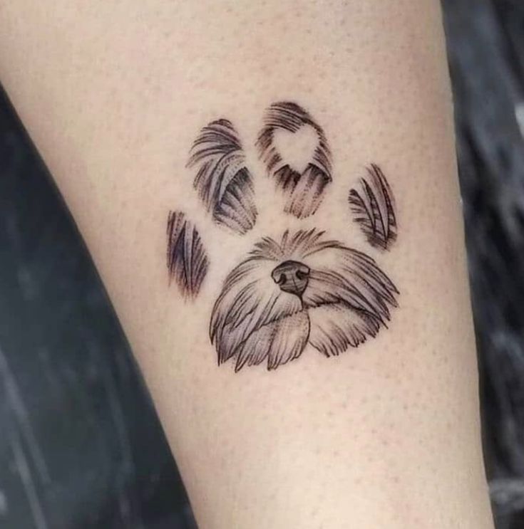 a dog's paw print is shown on the leg