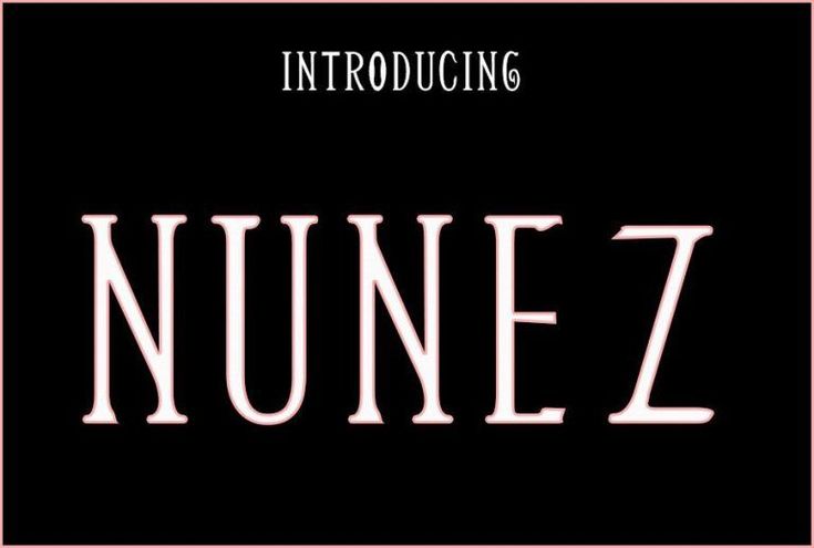 the word nunez is written in white on a black background with pink border