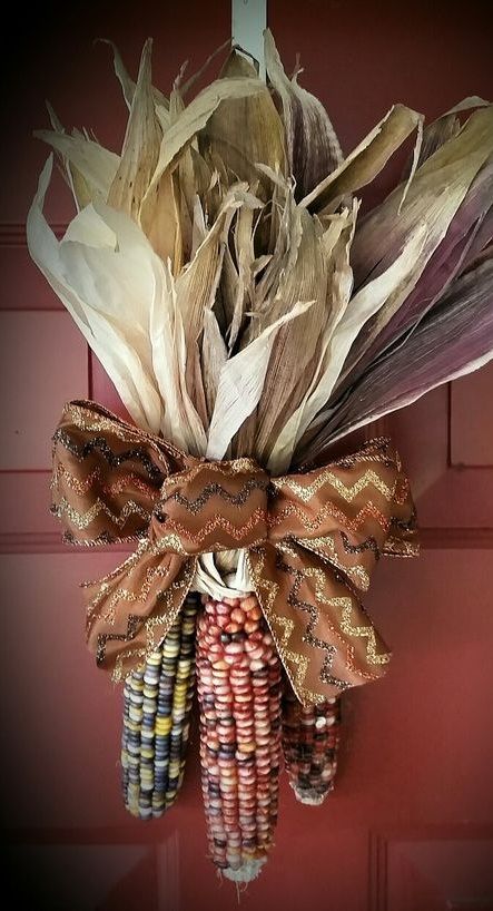 an arrangement of corn is hanging on the front door with a brown bow around it