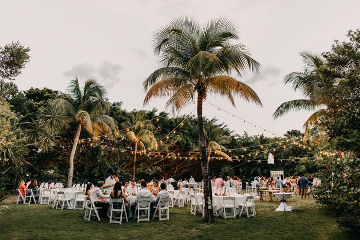 a group of people sitting at tables in the middle of a field next to palm trees