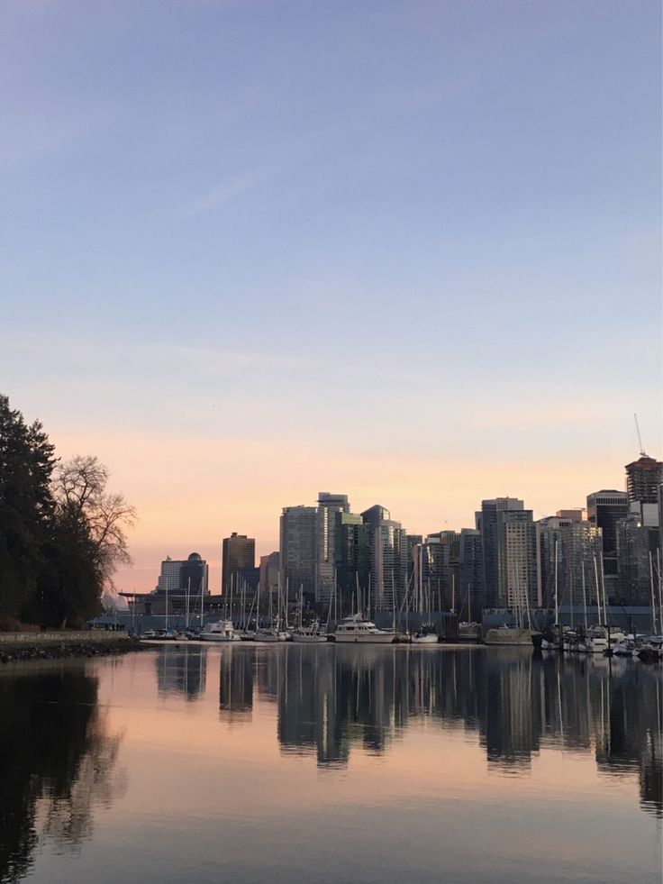 the city skyline is reflected in the water