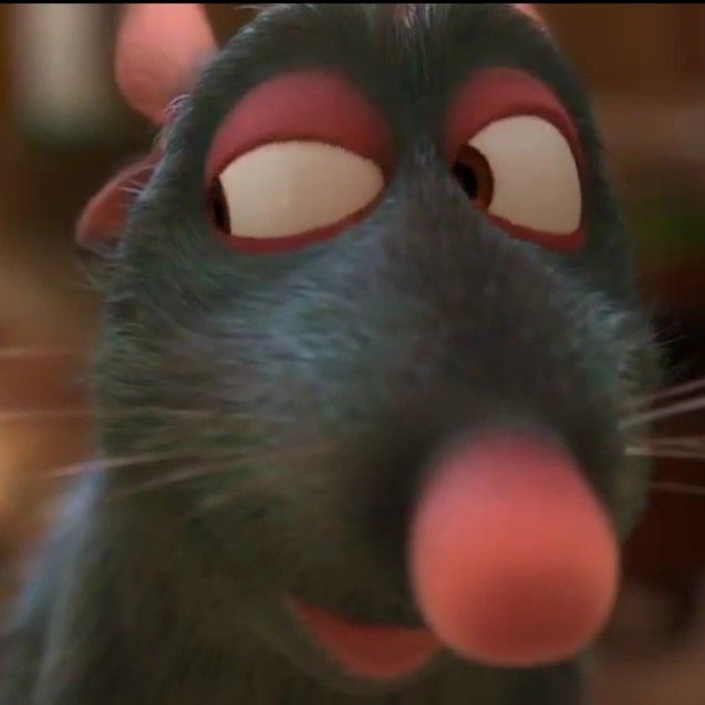 a close up of a black rat looking at the camera with big, round eyes