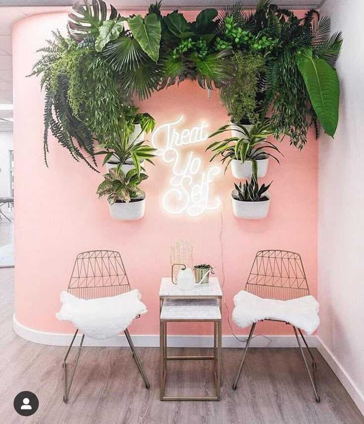 two chairs in front of a pink wall with neon lights and potted plants on it