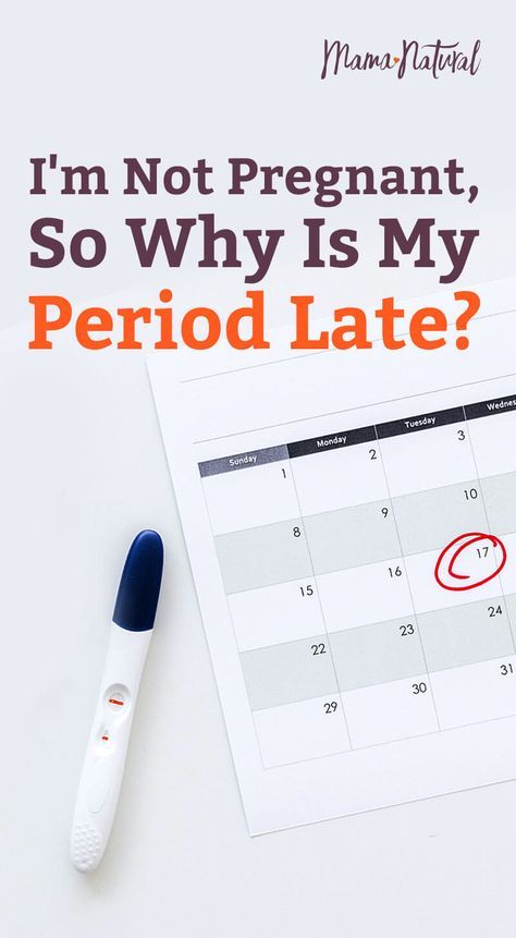 If you're wondering why is my period late, read on to find out what causes late or missed periods, plus get tips for regulating your cycle. https://www.mamanatural.com/why-is-my-period-late/ Late Period Not Pregnant, Cramps Essential Oils, Oils For Menstrual Cramps, Increase Progesterone Naturally, Irregular Period, Period Remedies, Increase Progesterone, 21 Day Workout, Natural Hormone Balance