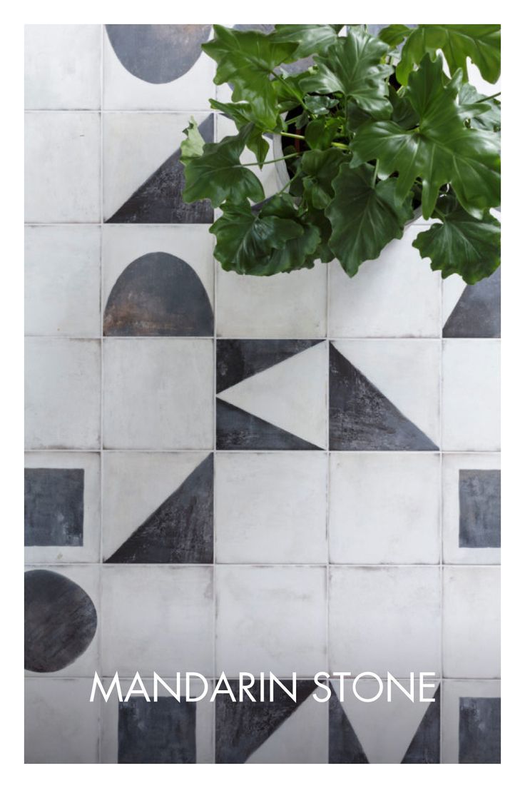 a potted plant sitting on top of a white tiled wall next to black and white tiles