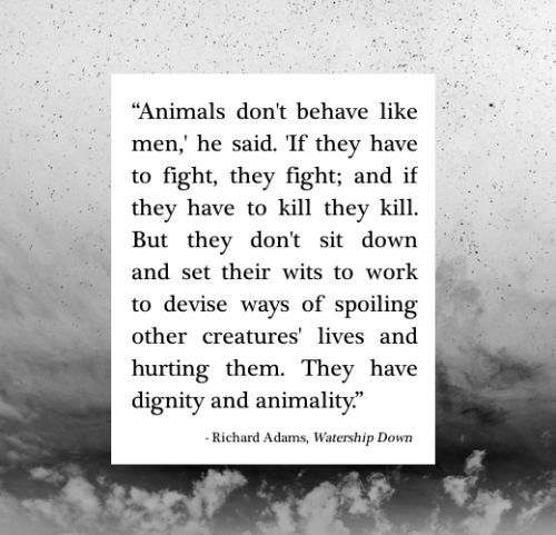 an image with the quote animals don't believe like men, he said if they have