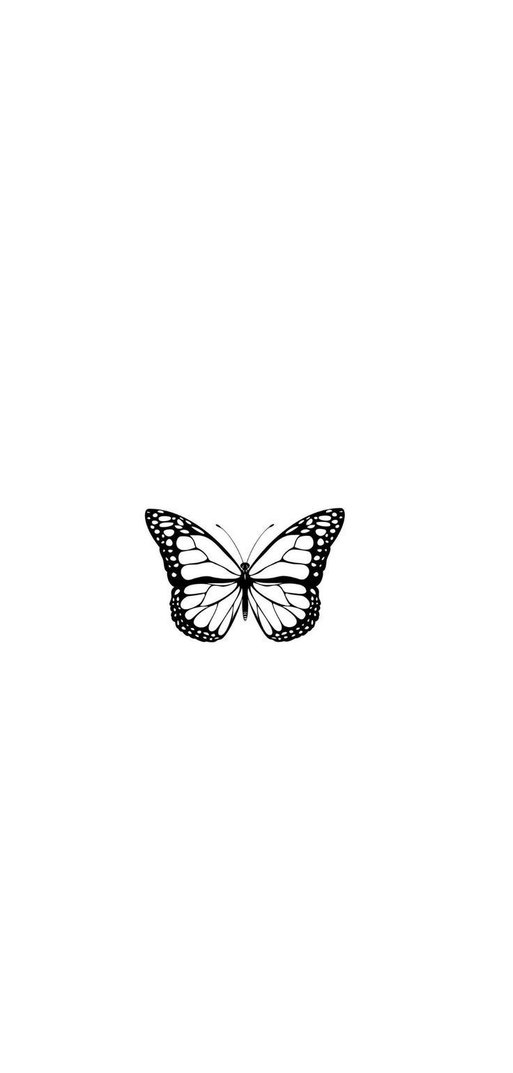 a black and white photo of a butterfly