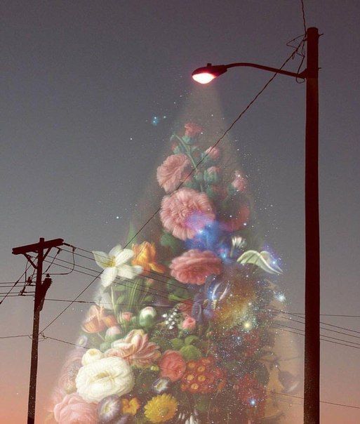 the instagram page shows an image of a flowered tree with lights on it