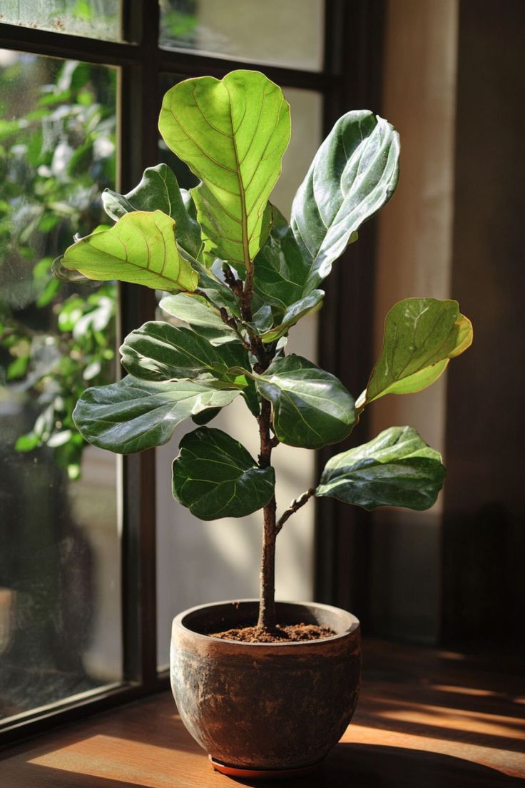 a potted plant sitting on top of a window sill next to a window