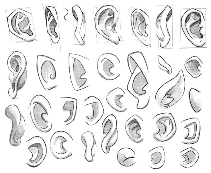 the various shapes and sizes of ear piercings are shown in this sketching technique