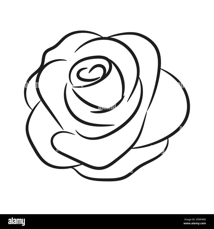 a black and white drawing of a rose on a white background with the words canstock photo