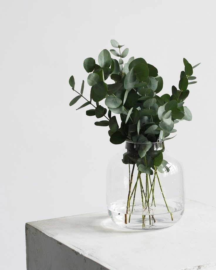 a glass vase filled with greenery on top of a white countertop next to a wall