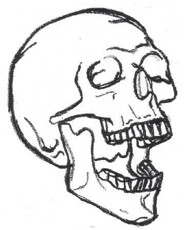 a black and white drawing of a skull with its mouth open, showing the lower jaw