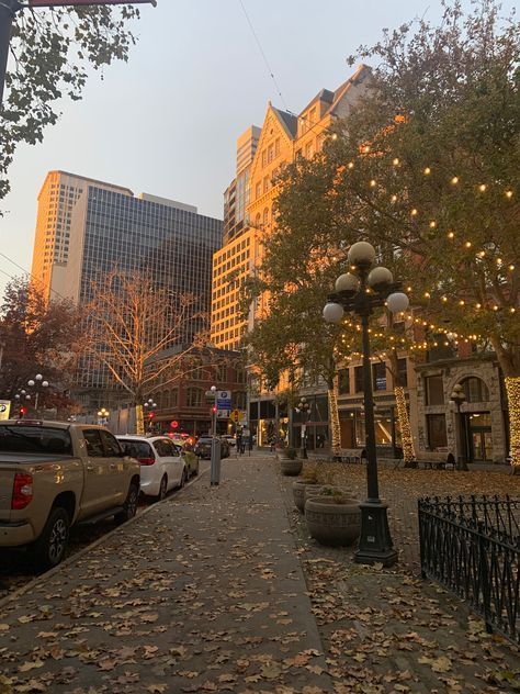 a city street lined with parked cars and trees covered in fall leaves at sunset or dawn