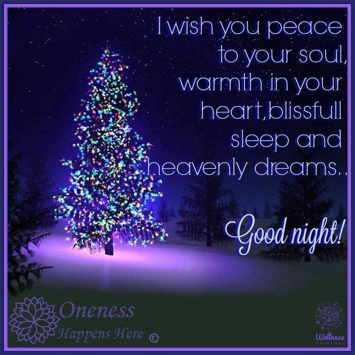 a christmas tree lit up with lights in the night sky and words that read, i wish you peace to your soul warmth in your heart blissful sleep and heavenly dreams