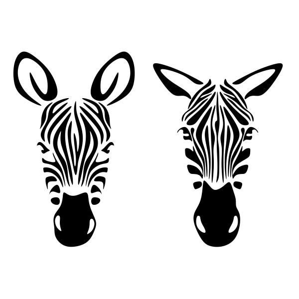 two zebras are shown in black and white