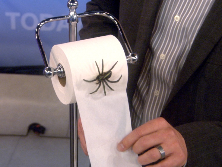 a man holding a roll of toilet paper with a spider on it