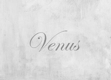 the word venus written in cursive writing on a white background