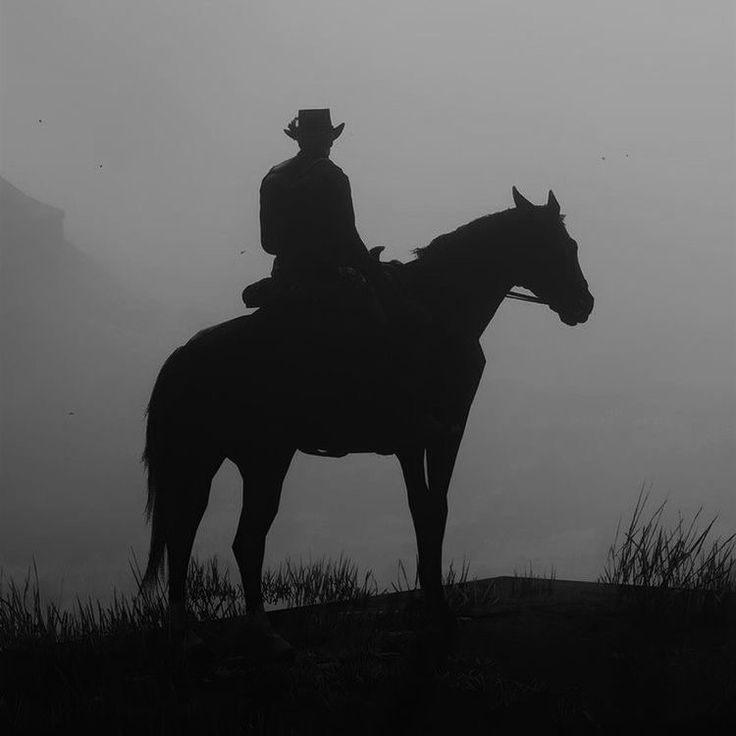 a man riding on the back of a horse next to a tall grass covered field