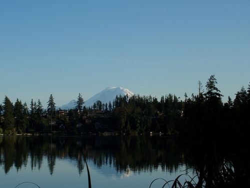 a lake surrounded by trees with a snow capped mountain in the backgroung