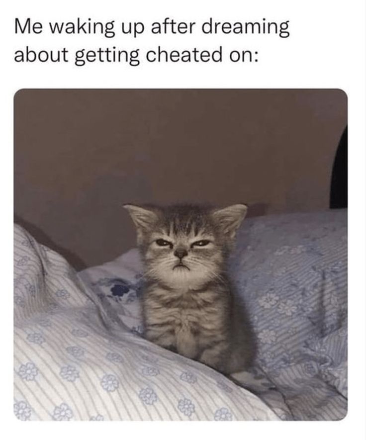 a cat sitting on top of a bed with the caption that reads, did you sleep well? me