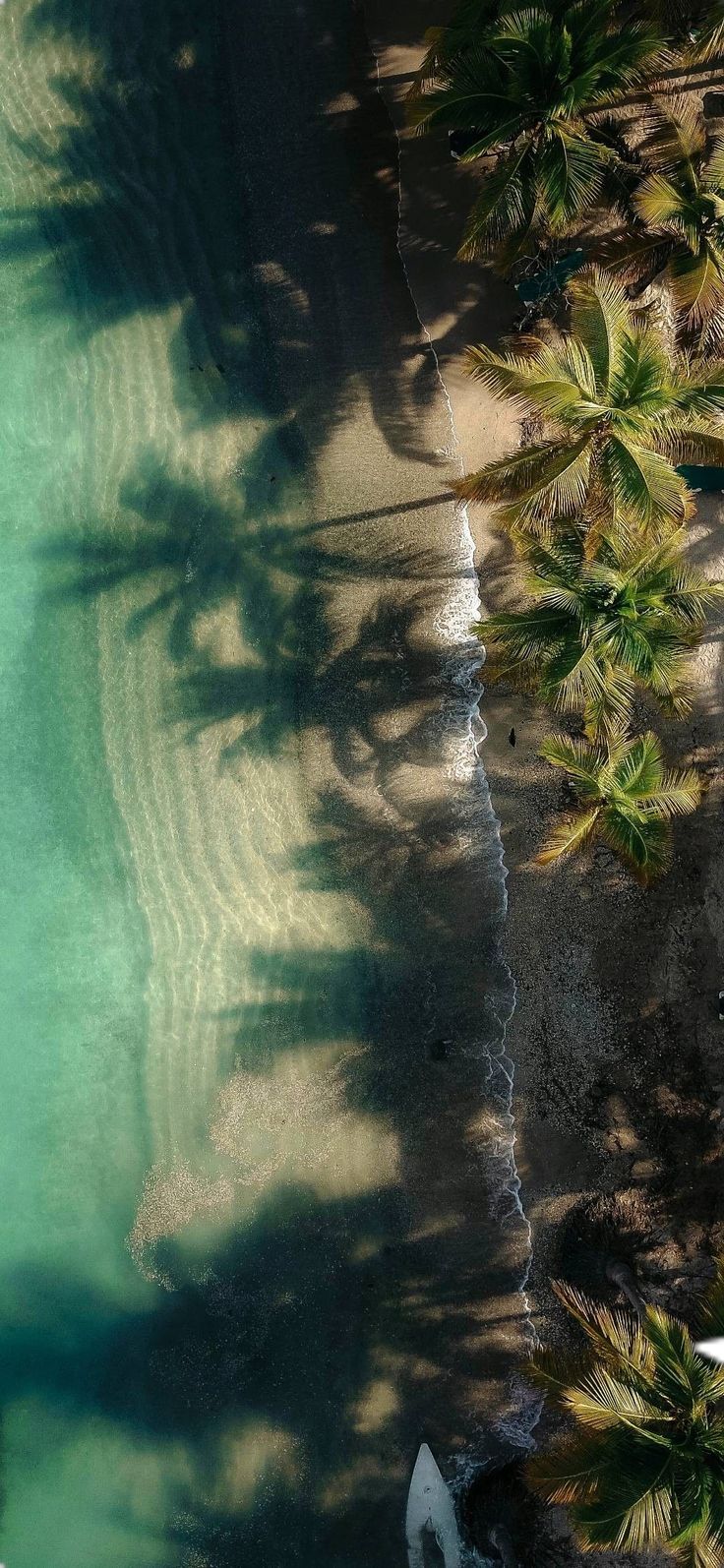 an aerial view of the beach with palm trees