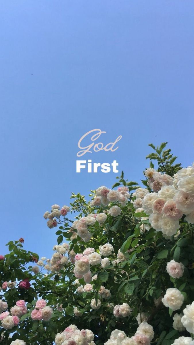 white flowers with the words god first in front of them and blue sky behind it