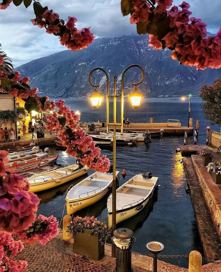 the boats are docked at the pier in the evening time with flowers growing on them