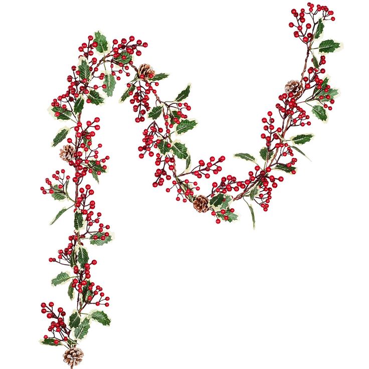 a branch with red berries and green leaves is shown in the shape of a letter n