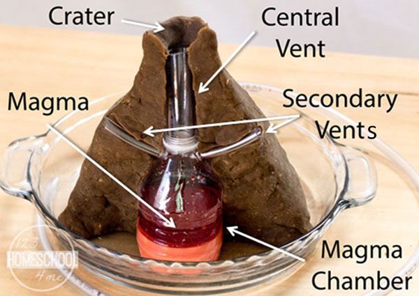 the contents of a bottle in a glass bowl on a wooden table with labels labeled