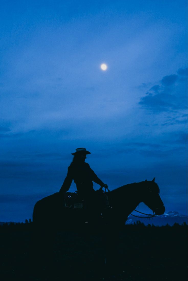 a man riding on the back of a horse under a blue sky with clouds and a full moon