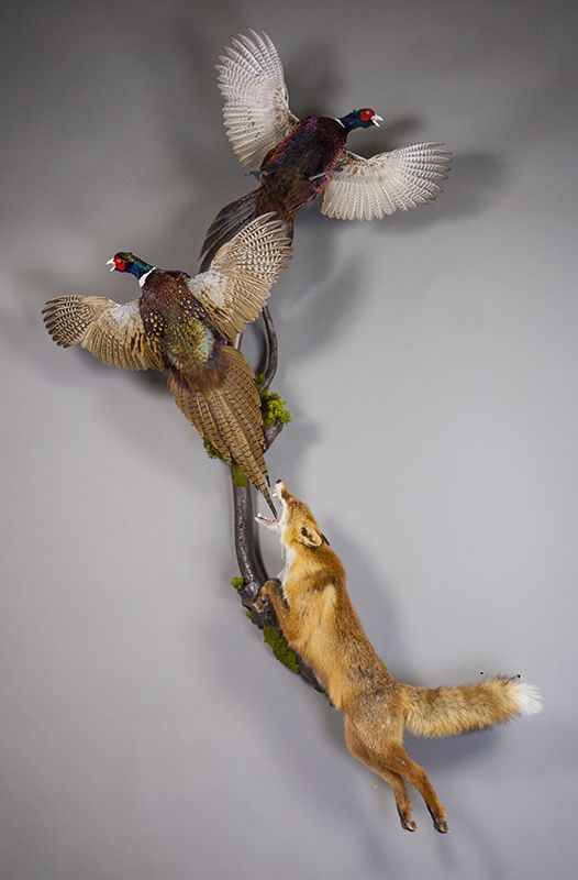 two birds flying over a fox on top of a branch