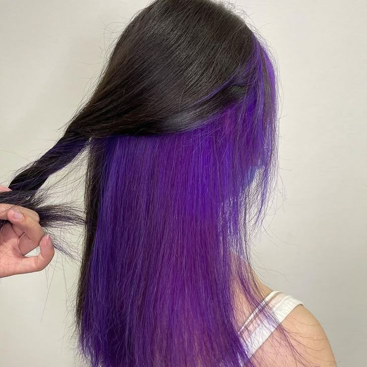 Black And Purple Underneath Hair, Purple Under Black Hair, Purple Bottom Hair, Split Dyed Hair Underneath Purple, Dark Purple Underdye Hair, Underside Hair Dye Purple, Bottom Half Dyed Hair Purple, Purple Underhair, Underhair Dye Purple