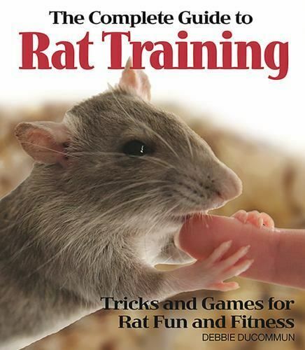 the complete guide to rat training tricks and games for rat fun and fitness