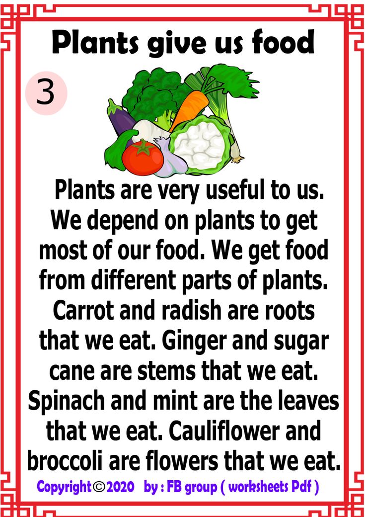 a poster with the words plants give us food and three different types of vegetables on it