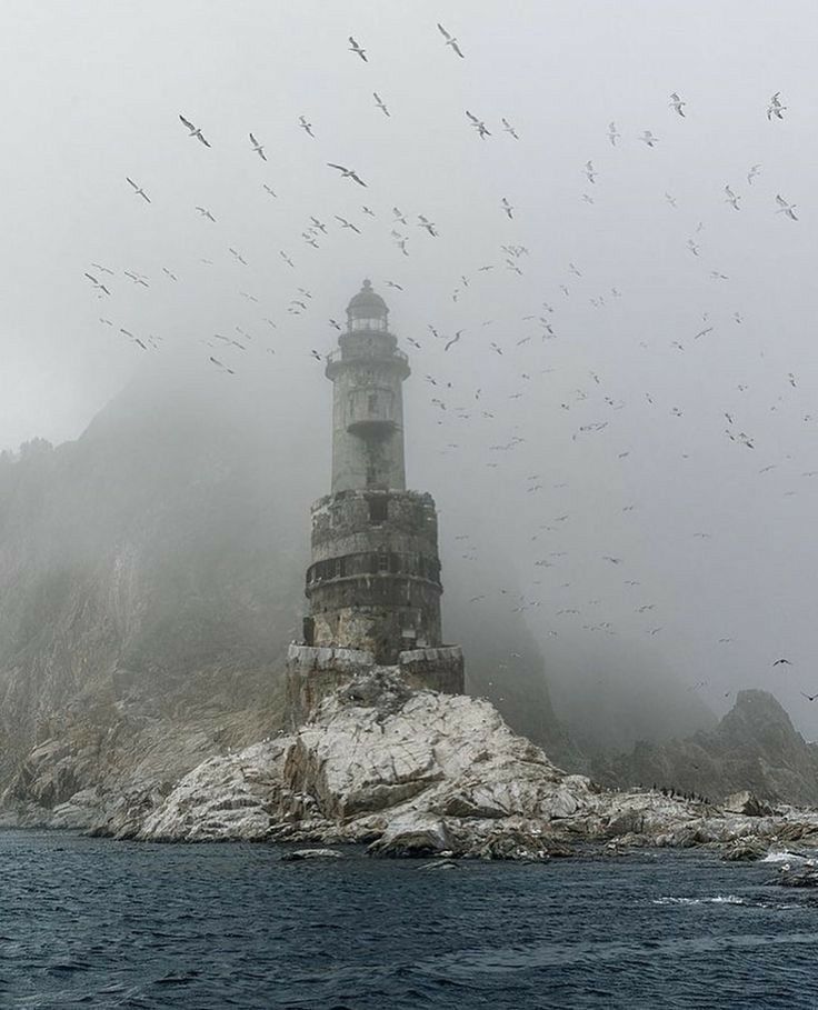 many birds flying around a light house in the middle of the ocean on a foggy day