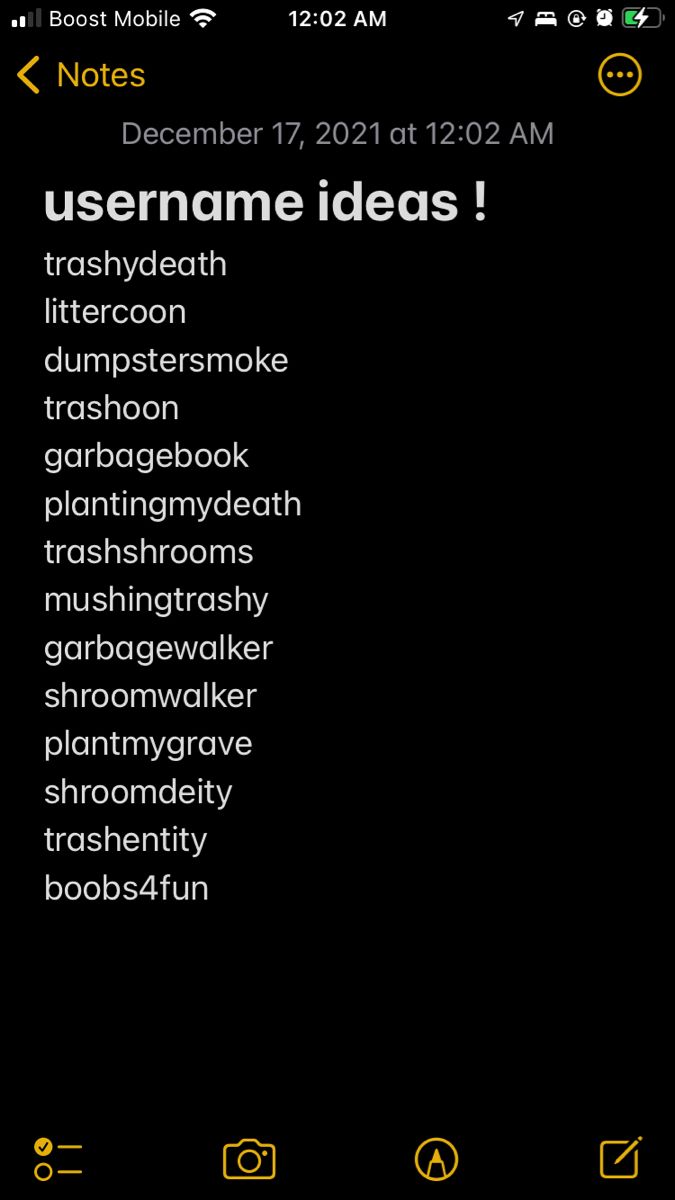 an iphone screen with the text username ideas written in different font styles and colors