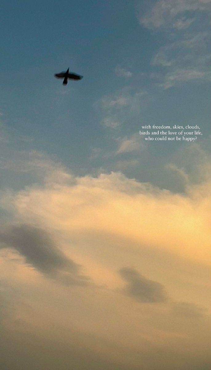 a bird flying high up in the sky with a quote on it's side