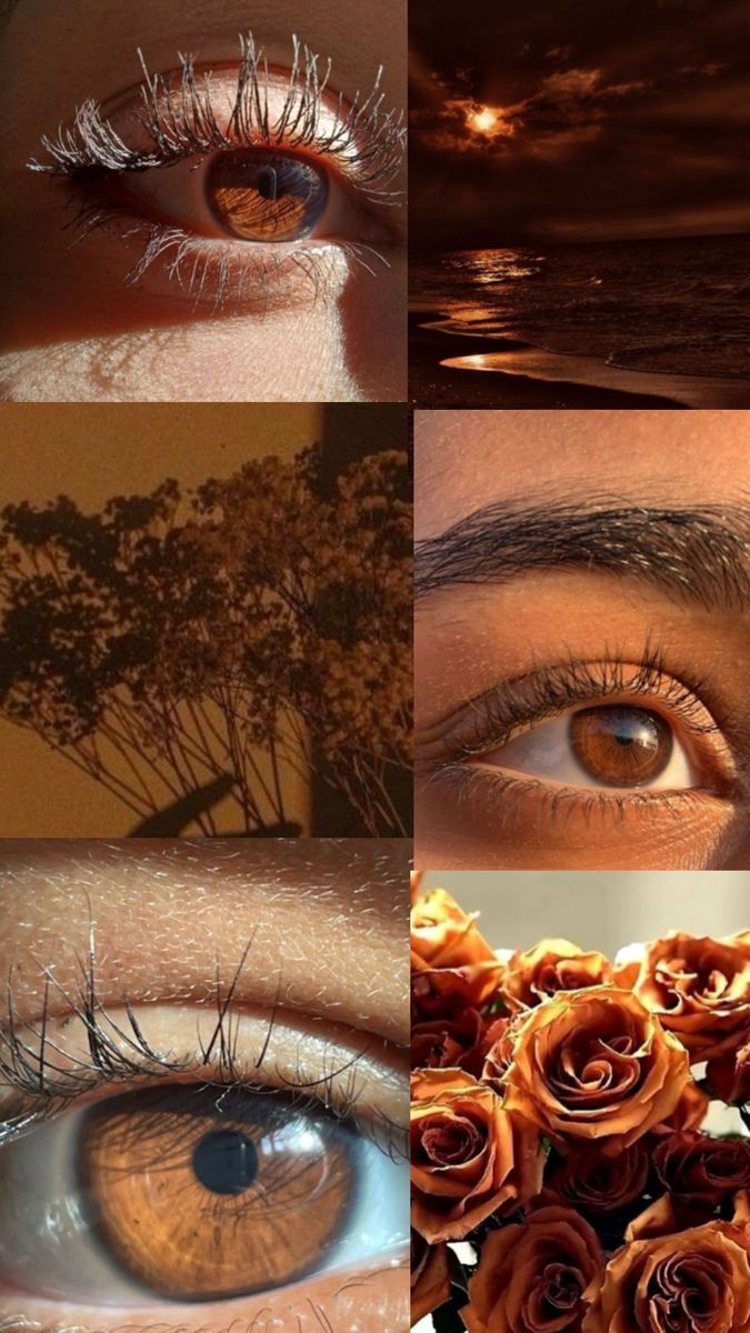 Eyes Photo, Eyes Wallpaper Aesthetic, Copper Eyes, Brown Eyes Background, Chocolate Brown Eyes, Deep Brown Eyes, Brown Eyes Aesthetic Wallpaper, Eyes Color, Amber Eyes Aesthetic