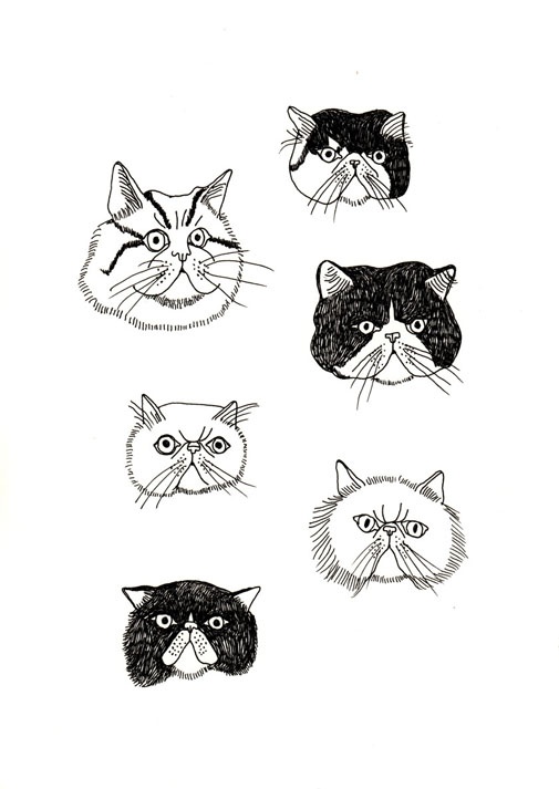 four different types of cats drawn in black ink on white paper, each with an individual's face