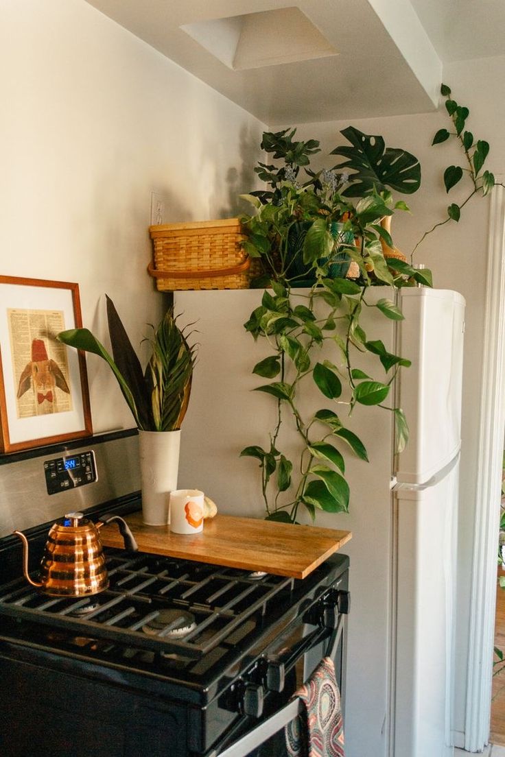 a kitchen with a stove top oven next to a potted plant on the wall