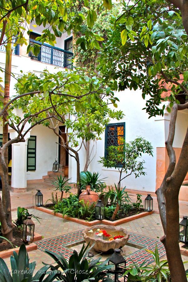 an outdoor courtyard with potted plants and trees